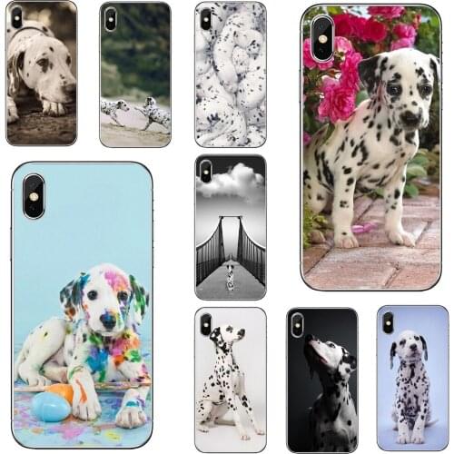 Sky team Huawei Mate 20 Lite Phone Cases