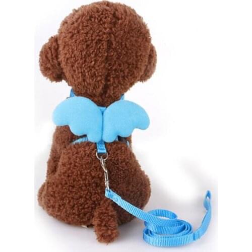 Pet Leash Little Angel Chest Strap Wings Set Cat Dog Leash Harness Milk Dog Small Dog Rope For Mini Dogs Puppy Teddy Supplies
