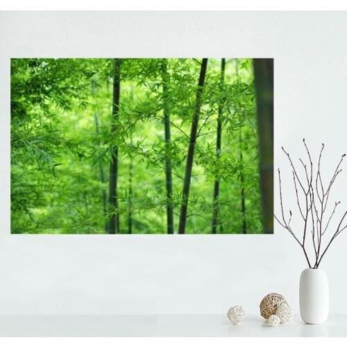 Nice Custom Beautiful Bamboo Canvas Poster Print painting Art Wall Silk Poster cloth print DIY Fabric Poster Y.66