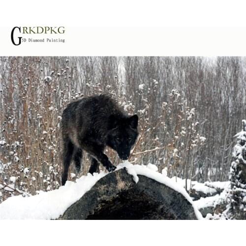 5d diy diamond embroidery diamond painting cross stitch full square rhinestone mosaic,animal,unfinished home decoration,wolf art