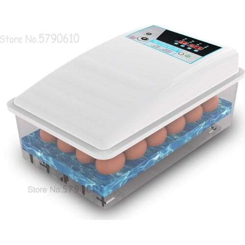 Chick Incubator Small Domestic Water Bed Incubator Automatic Incubator Intelligent Mini Incubator Domestic
