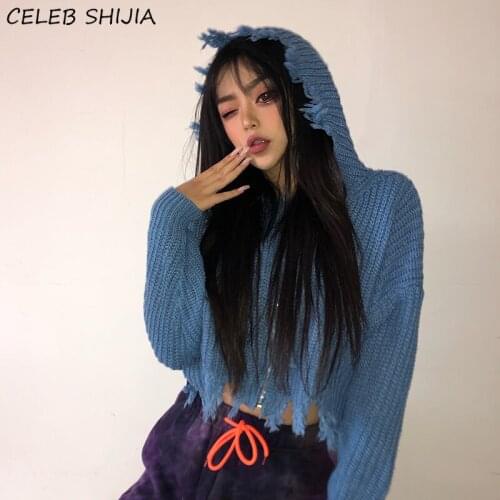 Vintage Zipper Tassel Sweater for Woman Autumn Long-sleeve Blue Knitting Cardigan Woman Runway Boho Apricot Loose Hooded Sweater