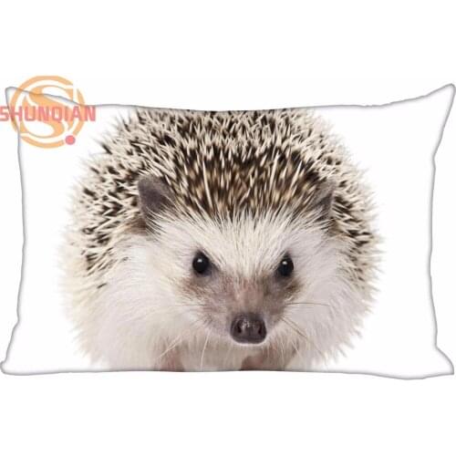 Hot Nice Hedgehog Rectangle Pillowcase zipper Wedding Custom Pillow Case For Bedroom A3.27#2