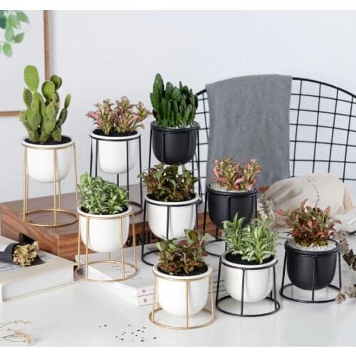 Set of 3pcs Modern Planter Pot With Gold Black Iron Shelf Succulent Plant Pot Desktop Flowerpot Metal Stand Fairy Garden Decor