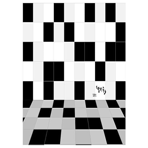 VinylBDS Backgrounds Checkered Plaid Blackboard Psychedelic Different And Shape Photography Photo Lk 1330