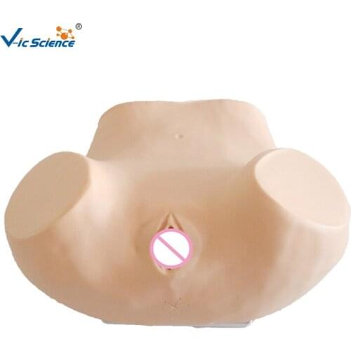 Puncture model of vaginal posterior fornix