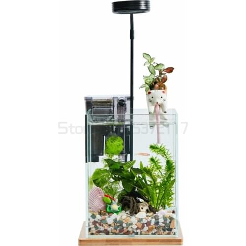 Creative ecological desktop fish tank real water grass landscaping micro view tank tropical fish viewing fish tank easy to take