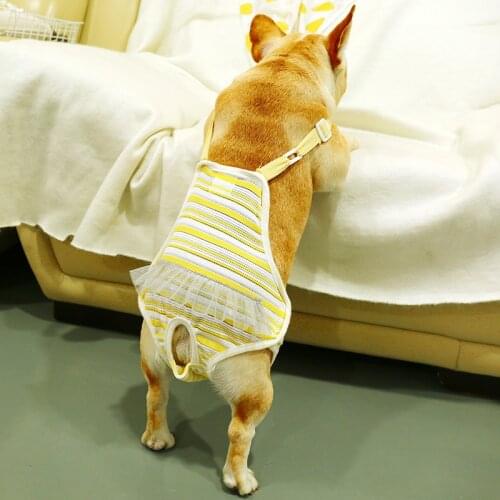 XLeiPet Briefs For Dogs