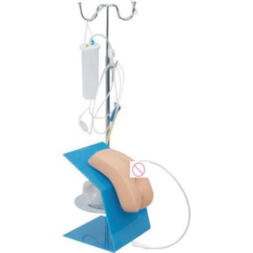 Transparent Female Catheterization Simulator, Urinary Catheterization model