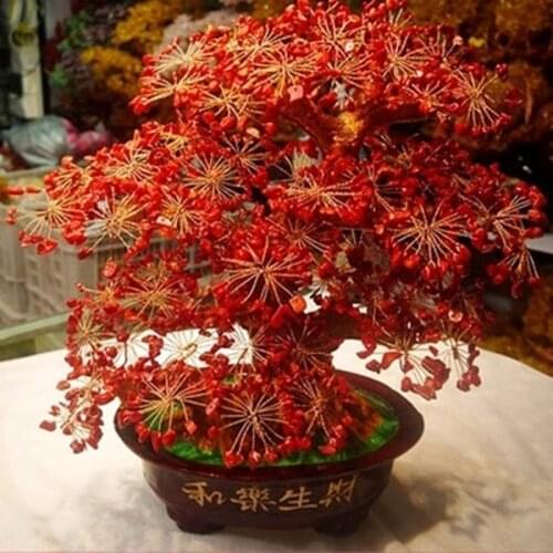 WOW 2020 Home Shop Company Money Drawing Good Luck propitious Red Coral crystal Pachira money Tree FENG SHUI statue talisman