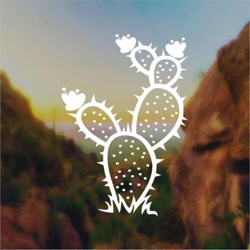 Black/Sliver Prickly Pear Cactus Car Sticker Small/Big Size Removable Waterproof Window Body Decal CL867