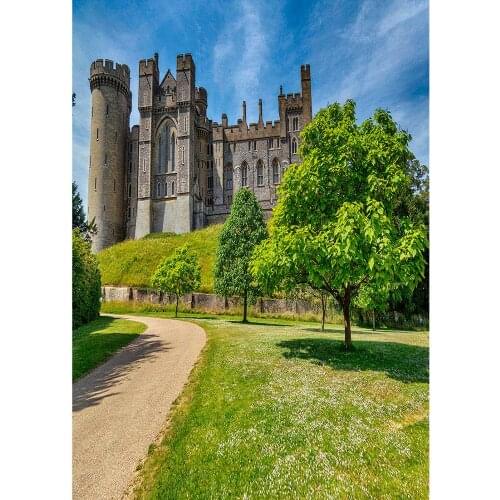 Vintage Castle Courtyard Pathway Photo Backdrop Vinyl Cloth Background Photography Props for Portrait Children Baby Photocall