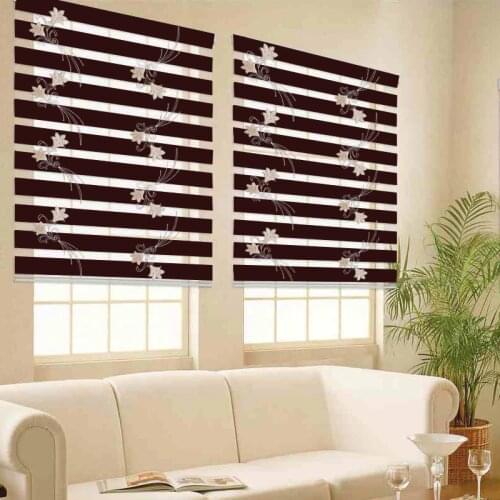 Free shipping Popular zebra blinds and roll up window shades