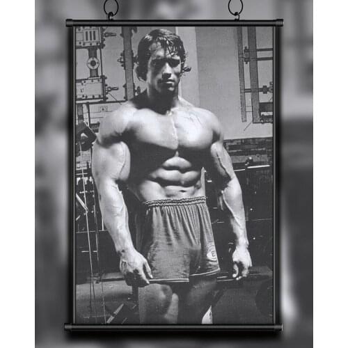 42 Custom Poster Silk Home Deco ARNOLD SCHWARZENEGGER Bodybuilding Motivational Gigantic Strong Wall Art Christmas Gift