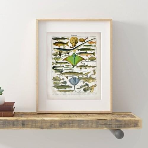 Ocean Animal Fish Canvas Poster Saltwater Fish Prints Seahorse Shark Stingray Lamprey Eel Nature Lover Gift Beach Decor Painting