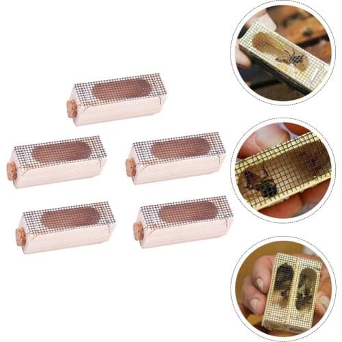 5pcs Queen Bee Cage Beekeeping Equipment Wooden Bee Cage Beekeeping Tool