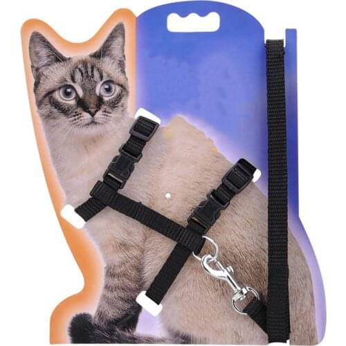 Cat Collar Harness and Leash Hot Sale 4 Colors Nylon Products for Animals Adjustable Pet Traction Harness Belt Cat Halter Collar