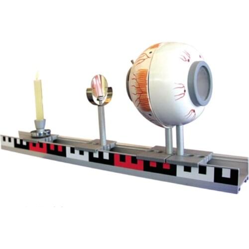 Medical Education human pvc eyeball imaging model