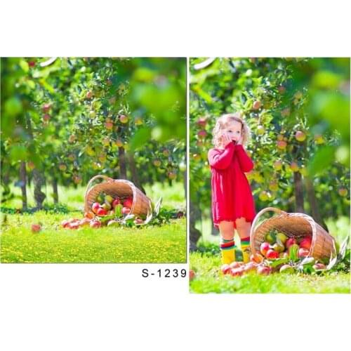 Autumn orchard photo background vinyl fotografia kids farmland harvest photography backdrops for photo studio props funds S-1239