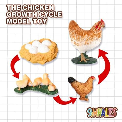 Children Adult Educational toy Simulation poultry animals PVC chicken Growth Cycle Model toy Popular Science Decoration Gift