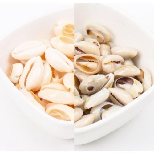 Natural Spiral Cut Beige Shell For Scrapbook Craft DIY Handmade Seashells Glass Bottle Nautical Home Decoration 50pcs