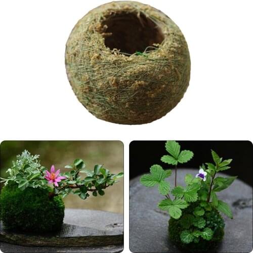 Moss Bonsai Japanese Moss Balls With Moss Seeds Personality Small Ventilate Flower Pot For Orchid And Bonsai Garden Decoration
