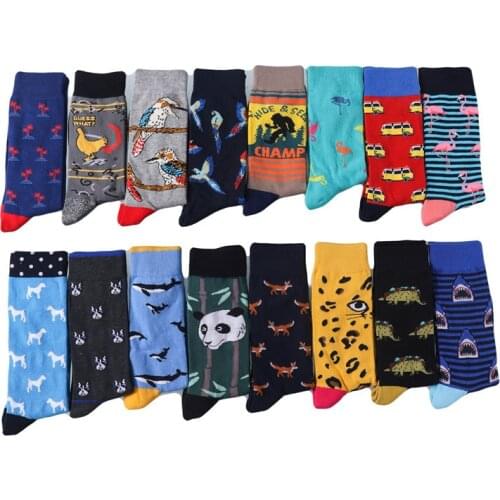 Cute Colorful Elements Animal Pattern Such as shark and fox and panda Flamingo And other animal socks And car pattern socks