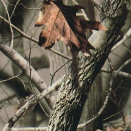 TAOTOP Size 1m x 10m hydrographics water transfer printing foil WDF11512