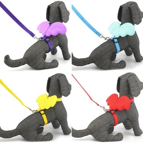 PETASIA Collars, Harnesses And Leashes