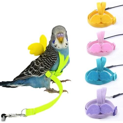 Parrot Harness Bird Leash Traction Rope Ultra-light Adjustable Outdoor Flying Rope Little Sun Lovebird Out Training Bird Rope