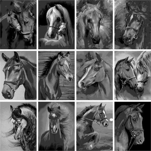 HUACAN Diamond Painting Kit Black And White Horse Rhinestones 5D DIY Diamond Embroidery Animal Mosaic Decor For Home