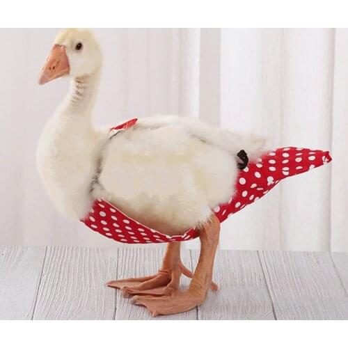 Cute Bow Overalls Cole Duck Flight Suit Pet Bird Diapers Small Animals Clothes Uniform for Birthday Party Pet Show Cosplay Photo