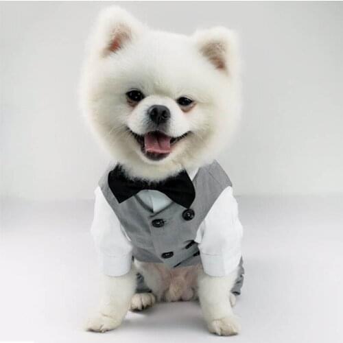 Pet Wedding Clothes Formal Dog Coat Jacket Dog Wedding Party Costume High Quality Clothes For Small Dogs Pet Clothing Ropa Perro