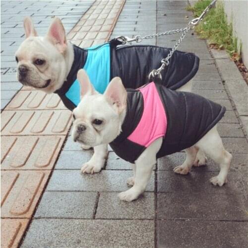 Waterproof Pet Dog Puppy Vest Jacket Chihuahua Clothing Warm Winter Dog Clothes Coat For Small Medium Large Dogs 4 Colors S-5XL