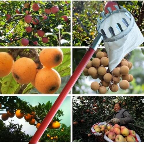 Creative Portable 1pc Metal+cotton material fruit picker gardening apple pear peach picking tool for home/orchard /farm /garden