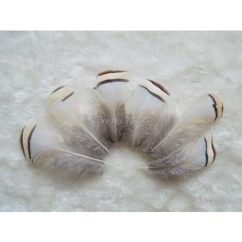 Small Feathers,50pcs/lot-NATURAL CHUKAR PARTRIDGE Hen Feathers,Loose Chukar Feathers 5-8CM for Crafts,Plume Decoration