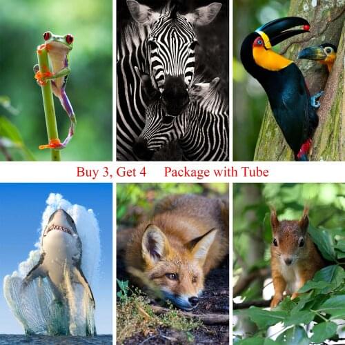 Wild Animals Posters White Coated Paper Prints High Definition Tiger birds Shark Lion Kids Room Decoration Home Art Brand