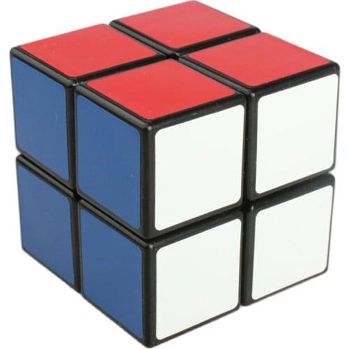 Professional 2x2x2 Speed Magic Cube Puzzle Cubes Games magico cubo Toys Gifts for Kids Children Adults
