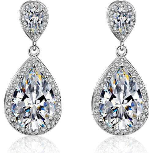 Dreamhonor Fashion Luxury 925 Sterling Silver Crystal Zircon Drop Earrings Women Exquisite Girlfriend Jewelry Accessories