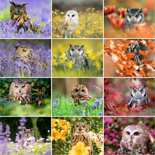 EverShine Diamond Painting Owl Cross Stitch Diamond Embroidery Animals Picture Rhinestones Handicraft Mosaic Art Kits Home Decor