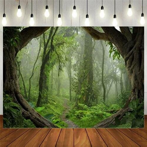 Fantastic Forest Background Spring Jungle Hiking Summer Woods Pathway Photography Backdrop Misty Trees Suburbs Picnic Camping