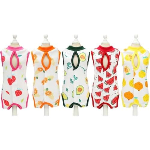 Pet Cat Clothes Cat Retrieve After Surgery Anti-licking Vest Clothing Pet Wound Anti-mite Surgical Recovery Weaning Suits