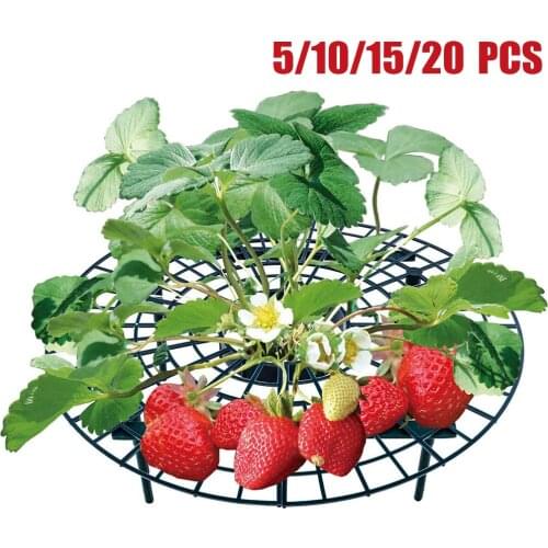 5/10/15/20 PCS Strawberry Stand Frame Holder Balcony Planting Rack Fruit Support Plant Flower Climbing Vine Pillar Garden Stand