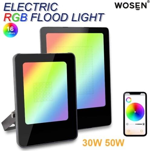 Flood Light Led RGB Led Floodlight 30W 50W 100W for Indoor Outdoor Waterproof IP66 Garden Lighting RGB Flood Light