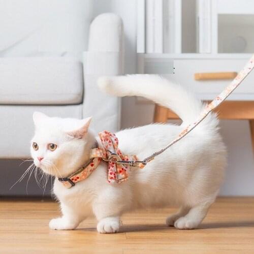 Pet Dog Floral Printing Harness and Leash Set Summer Chihuahua Pet Cats Harness for Small Dog Adjustable Walking Puppy Accessory