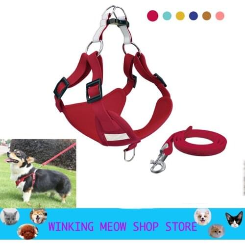 Ошейники, шлейки и поводки Vieruodis China At AliExpress