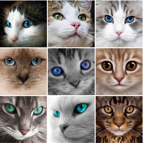 Animal DIY 5D Diamond Painting Full Round Drill Cute Cat Diamond Embroidery Cross Stitch Rhinestones for Living Room Wall Art