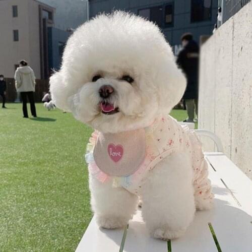 Puppy Cat Lace Bibs Cute Dog Bandana Kitten Neckerchief Slobber Towel Pet Accessories for Small Dogs Saliva Scarf Pet Products