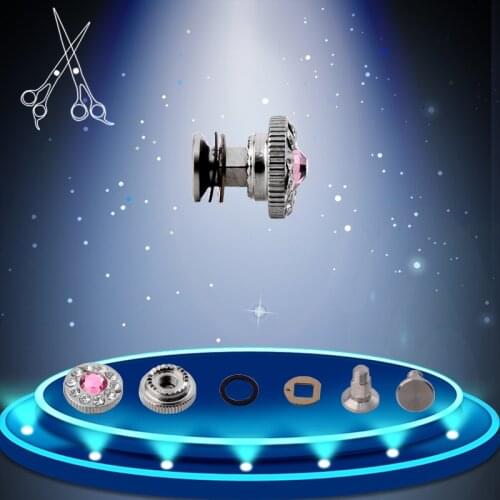 10 sets/lot Full Set Of Hairdresser Barber Accessories Of Screws Tornillo De Rodamiento Vis Palier Haircut Scissor Parts Screws