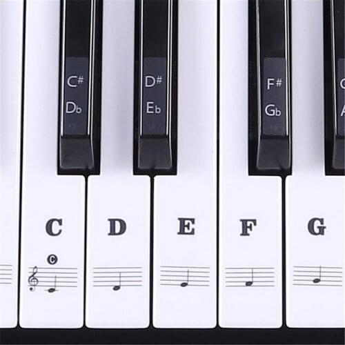 Transparent 54 61 88 Keys Electronic Keyboard Key Sticker Piano Stave Note Sticker For White Keys